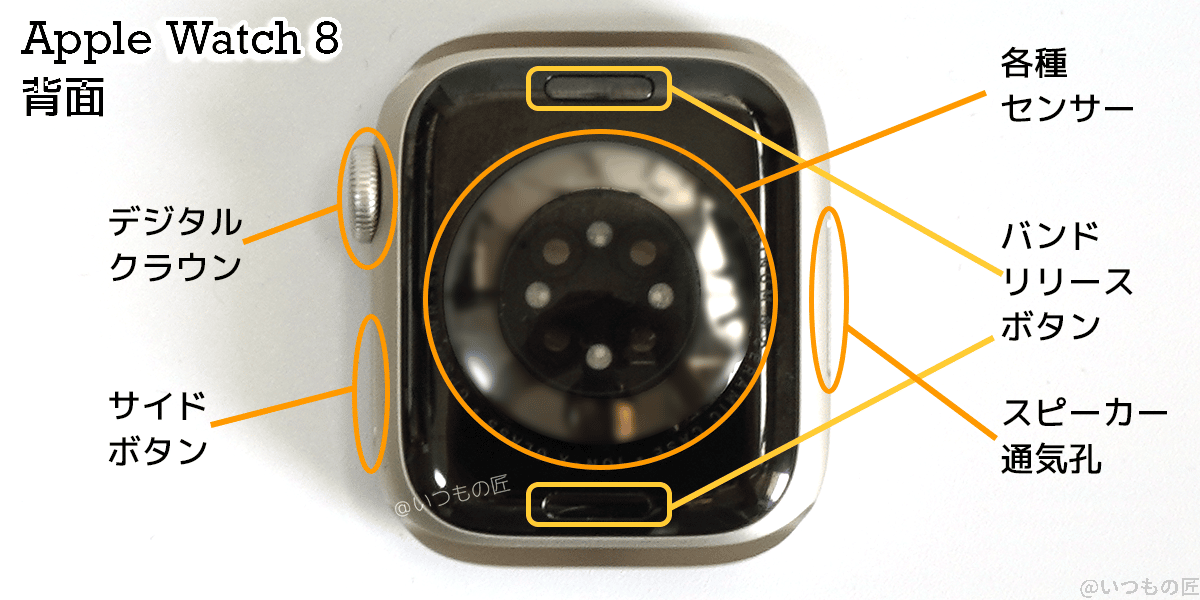 Apple Watch 8背面には各種センサーとバンド・リリース・ボタンが搭載されている