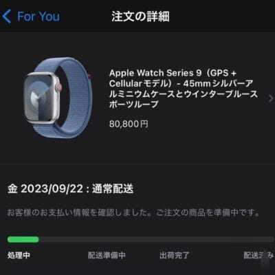 aw9_reserves | 真ガジェットレビューの匠 Apple Watch 9 45mmケースをさっそく予約