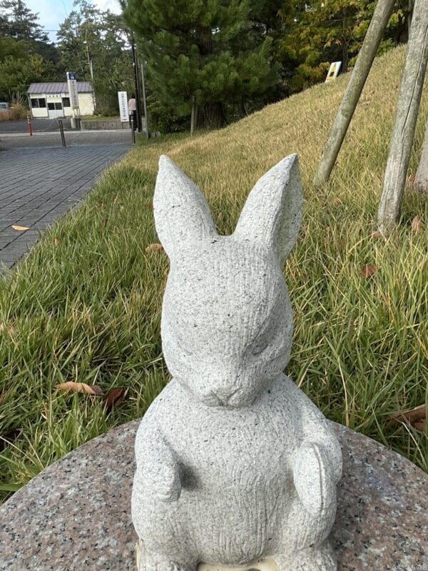 ipad mini 第7世代 のフロントカメラで撮影した写真 | 真ガジェットレビューの匠 iPad mini 第7世代 カメラ iPad mini 第7世代 のフロントカメラで撮影した写真