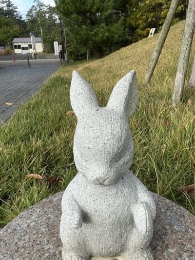 ipad mini 第7世代 のフロントカメラで撮影した写真 | 真ガジェットレビューの匠 iPad mini 第7世代 カメラ iPad mini 第7世代 のフロントカメラで撮影した写真