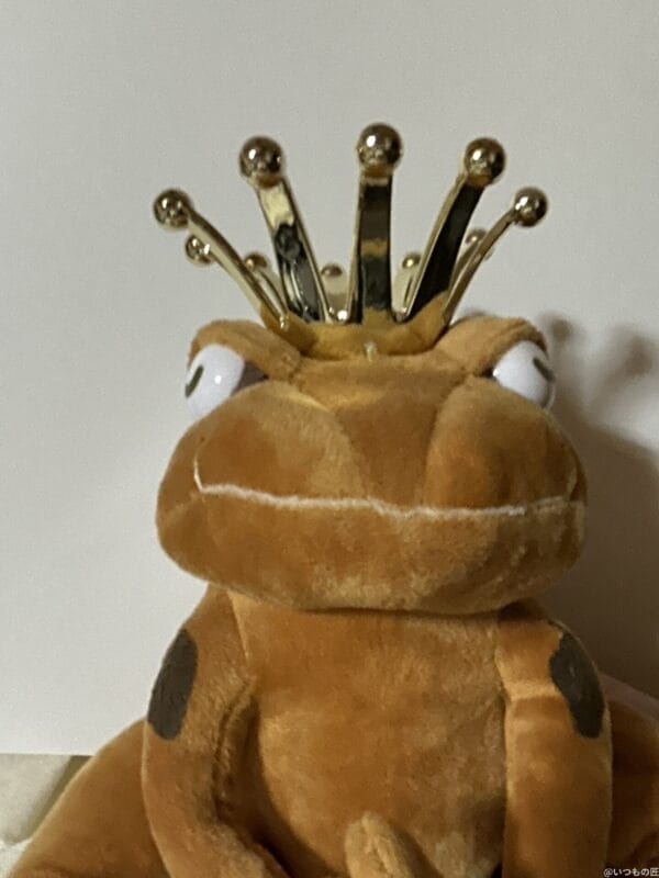 ipad mini 第7世代 のフロントカメラで撮影した写真 | 真ガジェットレビューの匠 iPad mini 第7世代 カメラ iPad mini 第7世代 のフロントカメラで撮影した写真