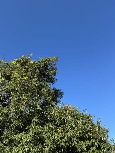 ipad mini 第7世代 で撮影した風景写真 | 真ガジェットレビューの匠 iPad mini 第7世代 カメラ iPad mini 第7世代 で撮影した風景写真