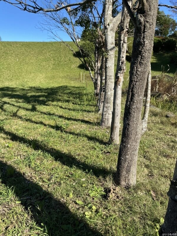 ipad mini 第7世代 で撮影した風景写真 | 真ガジェットレビューの匠 iPad mini 第7世代 カメラ iPad mini 第7世代 で撮影した風景写真