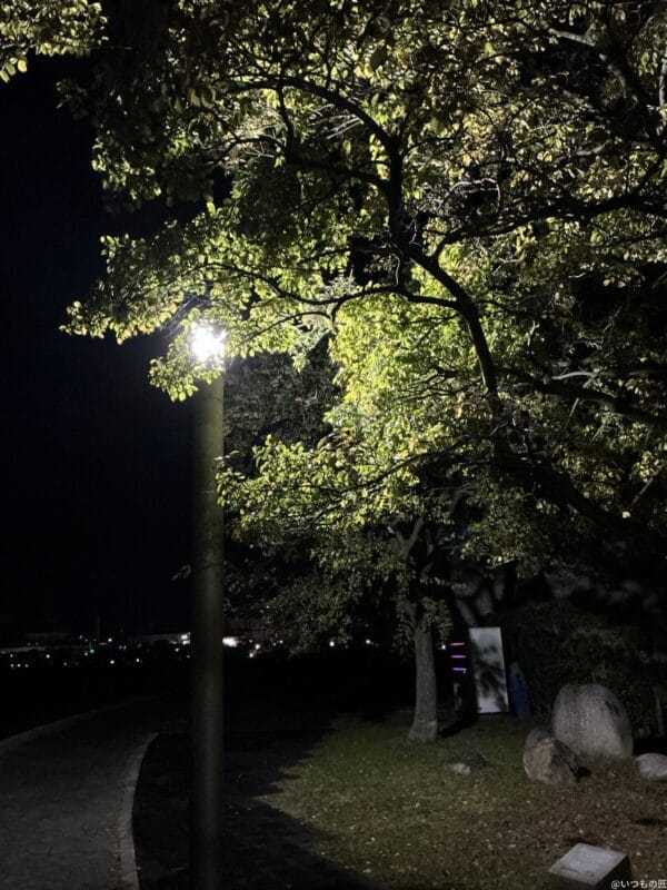 ipad mini 第7世代 で暗所撮影した写真 | 真ガジェットレビューの匠 iPad mini 第7世代 カメラ
iPad mini 第7世代 で暗所撮影した写真