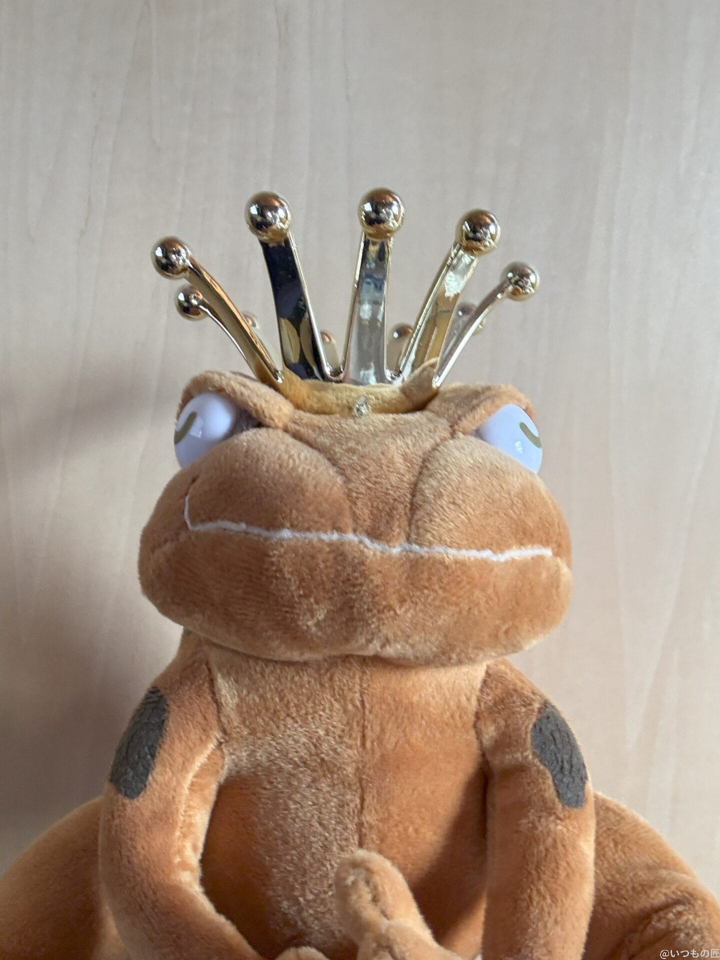 iPad mini 第7世代 カメラ
iPhone 16のフロントカメラで撮影した写真